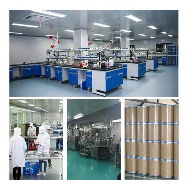 China Shaanxi Baisifu Biological Engineering Co., Ltd. Perfil da companhia