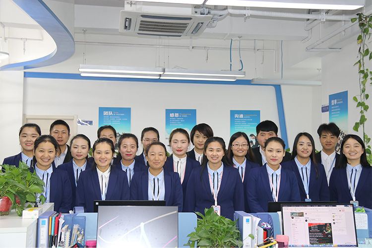 China Shaanxi Baisifu Biological Engineering Co., Ltd. Perfil da companhia