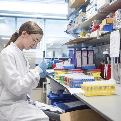 Shaanxi Baisifu Biological Engineering Co., Ltd. linha de produção da fábrica