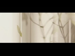 Óleo essencial de árvore de chá Óleo de lavanda Óleo de hortelã óleo de cânfora Óleo de cérebro de árvore de cânfora Óleo essencial de rosa Euca