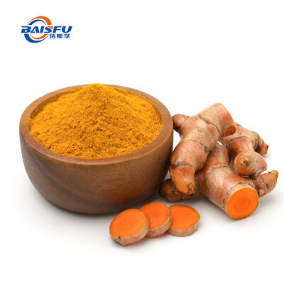 Turmeric Curcumin Extract Powder Natural Yellow Pigment & Active Compound for Dietary Supplements Functional Foods & Cosmetic