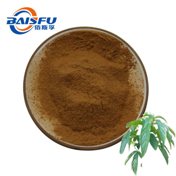 Baisfu pure Plant Extract  Brown fine powder glossy privet fruit extract ursolic acid CAS No.: 77-52-1 Ligustrum Lucidum Ait P.E use in medicine and cosmetic