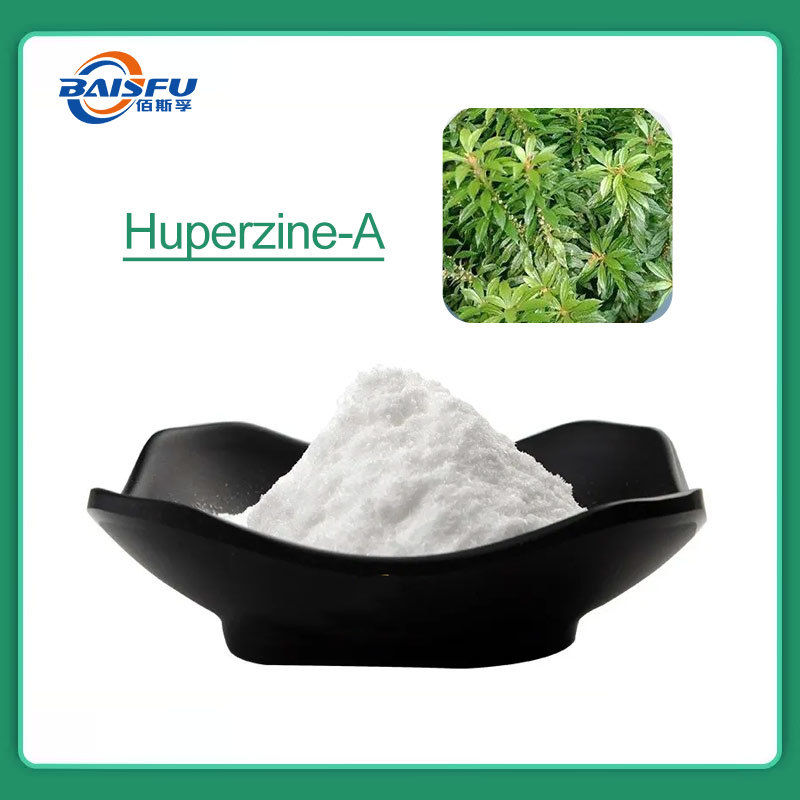 Shaanxi Baisfu plant extract White powder huperzia serrata extract CAS No.102518-79-6 huperzine A for Alzheimer therapy