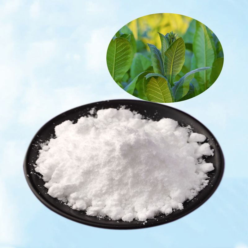 Baisfu  Hot Selling Natural Solanesol 98% Tobacco Leaf Extract Solanesol Extract Powder CAS 13190-97-1 used in Daliy Products