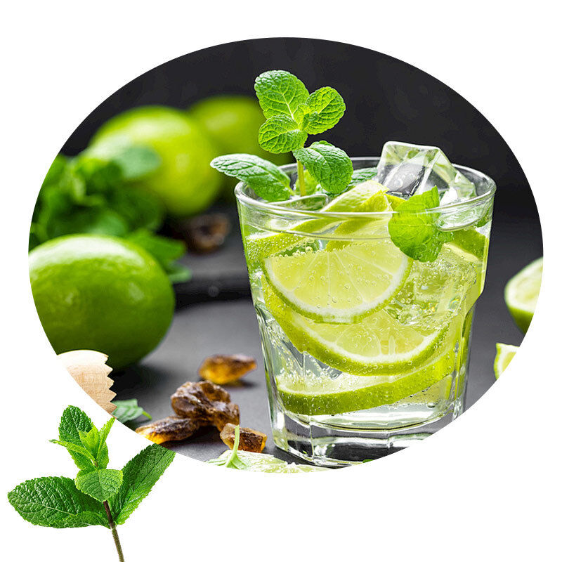 High Quality Heat Stable Mint Powder Flavor for Hard Candy Chewing Gum and Mints Confectionery