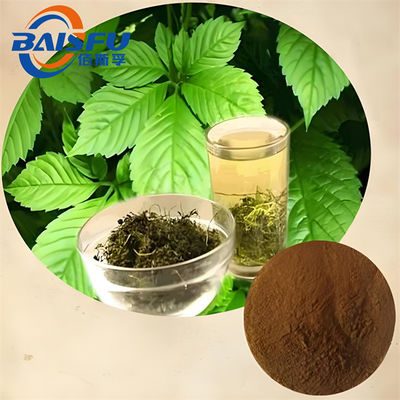 Baisfu Pure Plant Extract Gynostemma Plant Extract Cosmetic Raw Material 1kg 25kg Yellowish Powder Gynostemma Leaf  Gynostemma CAS NO.15588-68-8 for nutritional supplement