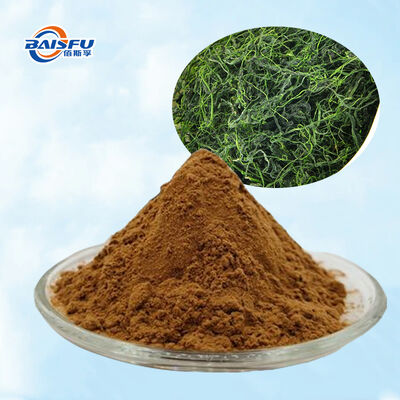 Baisfu Factory Wholesale Gynostemma Pentaphyllum Extract Brown Yellow Fine Powder Ginsenosides for Health Supplements and Natural Additive